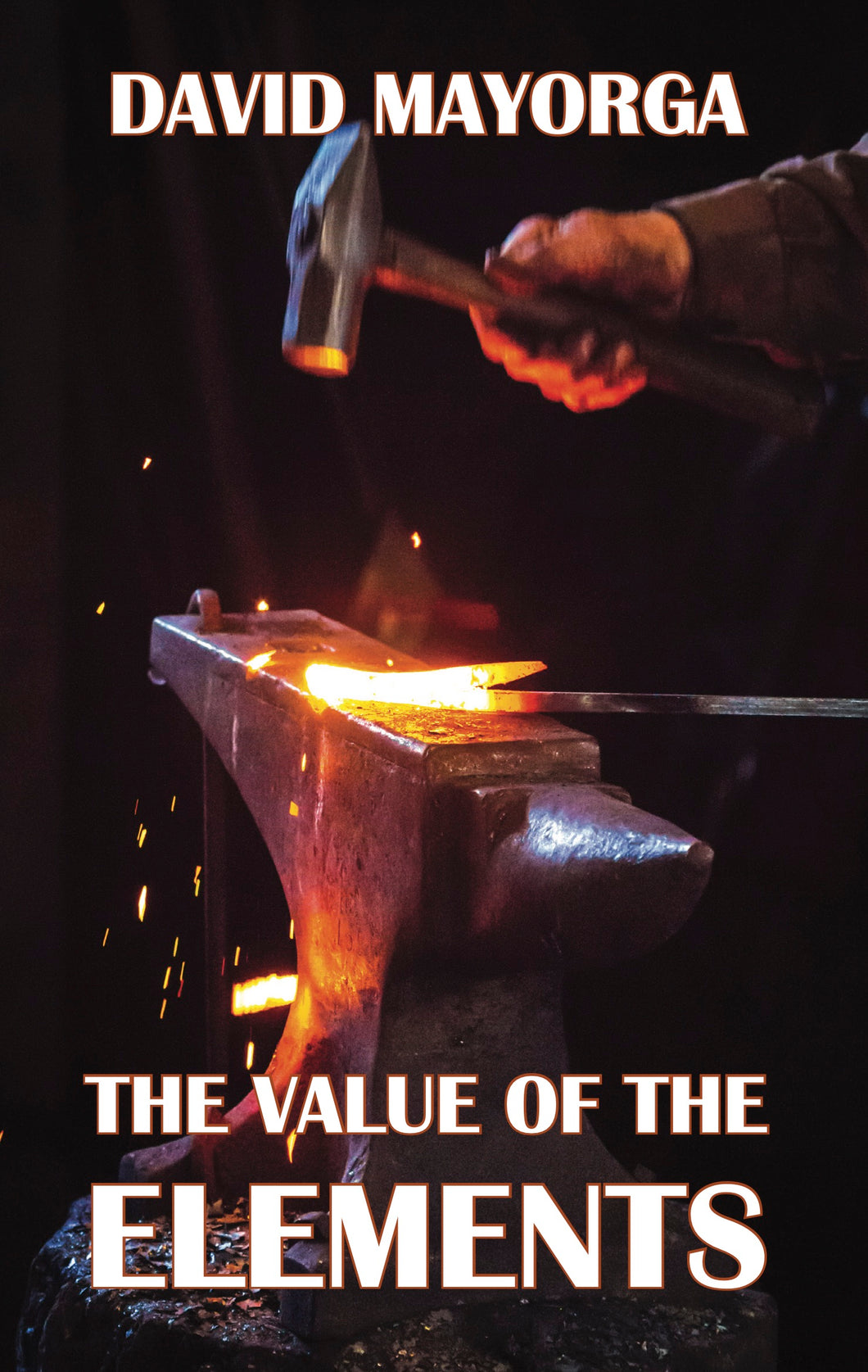 THE VALUE OF THE ELEMENTS by David Mayorga