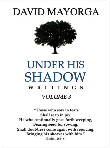 Under His Shadow Writings Vol. 3 by David Mayorga